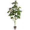 Trees & Topiaries-Kirkland's Home Potted Fig Fruit Tree, 4 Ft.
