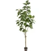 Trees & Topiaries-Kirkland's Home Potted Fig Tree, 7 Ft.