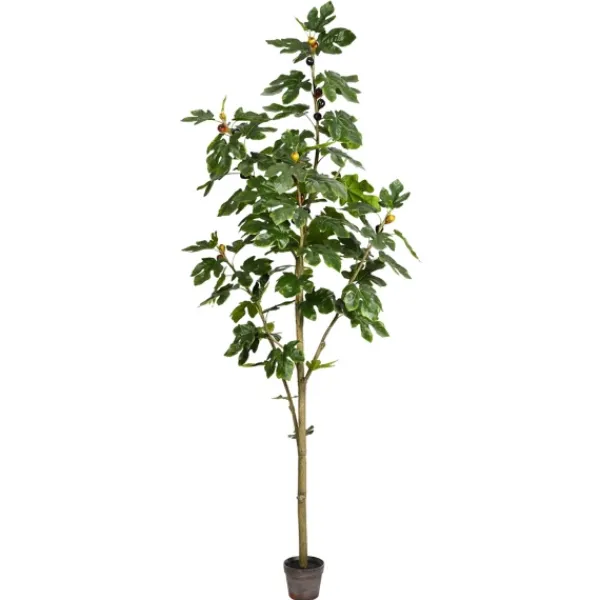 Trees & Topiaries-Kirkland's Home Potted Fig Tree, 7 Ft.