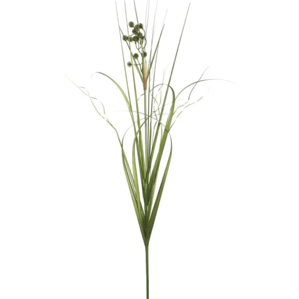 Arrangements & Greenery-Kirkland's Home Potted Grass With Pomp Balls Green