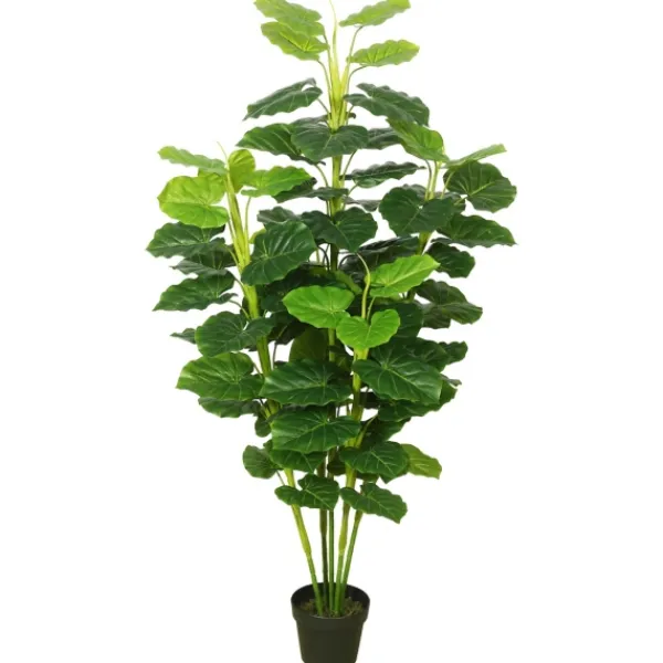 Trees & Topiaries-Kirkland's Home Potted Green Philodendron Tree