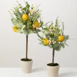 Trees & Topiaries-Kirkland's Home Potted Lemon And Berry Herb Trees, Set Of 2