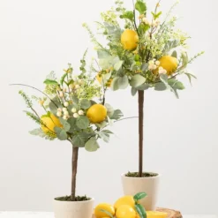 Trees & Topiaries-Kirkland's Home Potted Lemon And Berry Herb Trees, Set Of 2