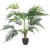 Arrangements & Greenery-Kirkland's Home Potted Small Leaf Fern Palm Plant, 35 In. Green