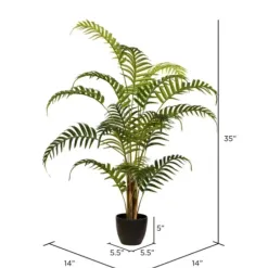 Arrangements & Greenery-Kirkland's Home Potted Small Leaf Fern Palm Plant, 35 In. Green