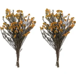 Stems & Bouquets-Kirkland's Home Preserved Aspen Rice Flower Bundle Gold