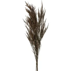 Stems & Bouquets-Kirkland's Home Preserved Green Reed Grass Bundle Brown