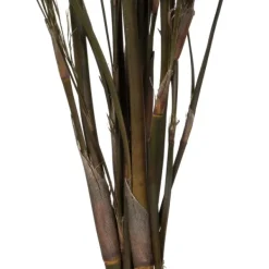 Stems & Bouquets-Kirkland's Home Preserved Green Reed Grass Bundle Brown