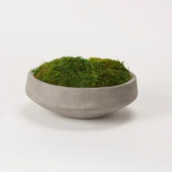 Arrangements & Greenery-Kirkland's Home Preserved Mood Moss In Round Cement Bowl Green/Gray