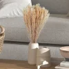 Stems & Bouquets-Kirkland's Home Preserved Natural Bleached Staavia Bush Tan