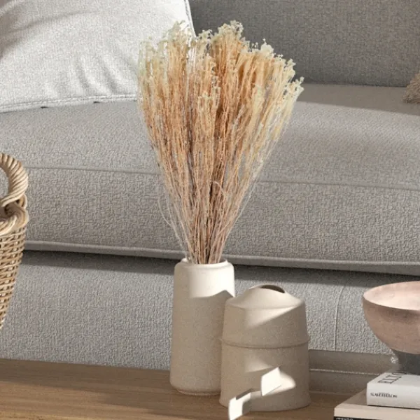 Stems & Bouquets-Kirkland's Home Preserved Natural Bleached Staavia Bush Tan
