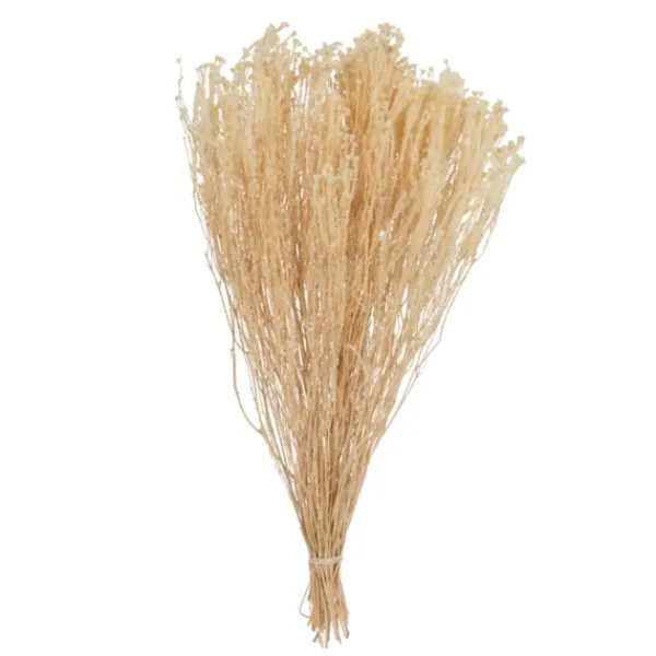Stems & Bouquets-Kirkland's Home Preserved Natural Bleached Staavia Bush Tan