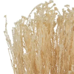 Stems & Bouquets-Kirkland's Home Preserved Natural Bleached Staavia Bush Tan