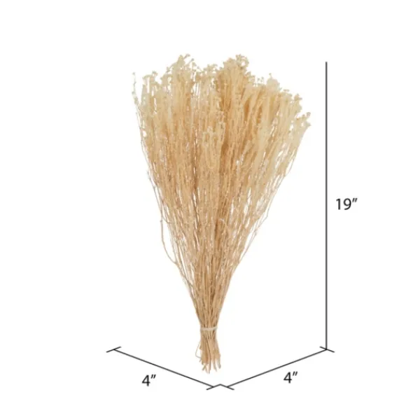 Stems & Bouquets-Kirkland's Home Preserved Natural Bleached Staavia Bush Tan
