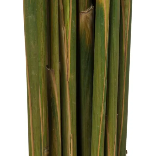 Stems & Bouquets-Kirkland's Home Preserved Plume Reed Bundles, Set Of 2 Brown