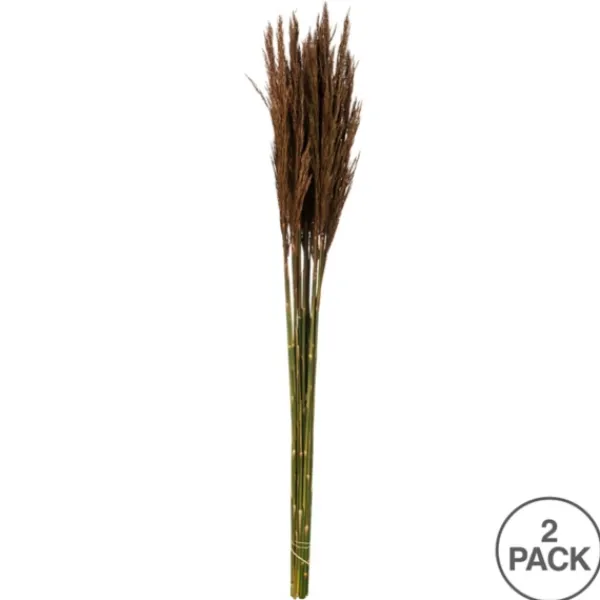 Stems & Bouquets-Kirkland's Home Preserved Plume Reed Bundles, Set Of 2 Brown