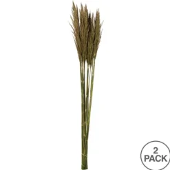 Stems & Bouquets-Kirkland's Home Preserved Plume Reed Bundles, Set Of 2 Green