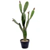 Trees & Topiaries-Kirkland's Home Prickly Pear Cactus In Black Pot