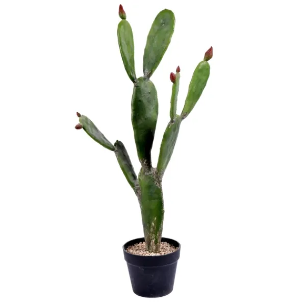 Trees & Topiaries-Kirkland's Home Prickly Pear Cactus In Black Pot