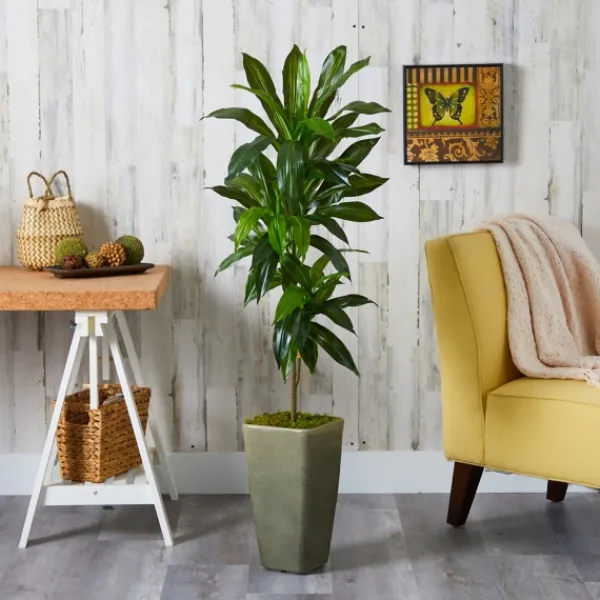 Trees & Topiaries-Kirkland's Home Real Touch Dracaena Tree In Green Planter, 4.5 Ft.