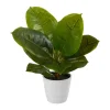 Arrangements & Greenery-Kirkland's Home Real Touch Rubber Leaf In Ribbed White Planter Green/White