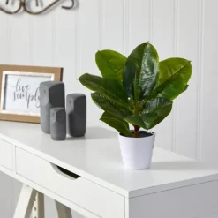 Arrangements & Greenery-Kirkland's Home Real Touch Rubber Leaf In Ribbed White Planter Green/White