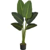 Trees & Topiaries-Kirkland's Home Real Touch Travelers Palm Plant, 45 In. Green/Black