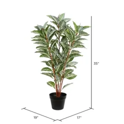Trees & Topiaries-Kirkland's Home Real Touch Zebra Plant In Nursery Planter