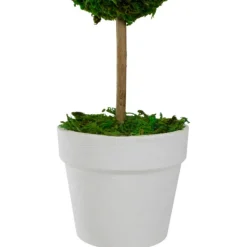 Trees & Topiaries-Kirkland's Home Reindeer Moss Ball Topiary In White Pot