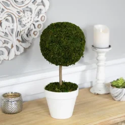Trees & Topiaries-Kirkland's Home Reindeer Moss Ball Topiary In White Planter
