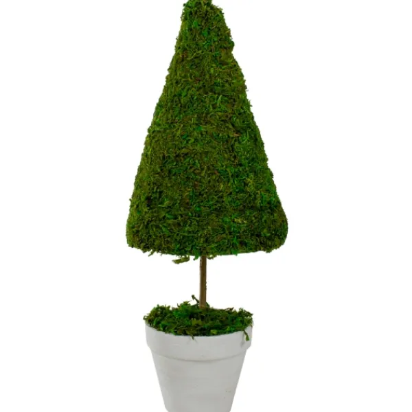 Trees & Topiaries-Kirkland's Home Reindeer Moss Cone Topiary In White Planter