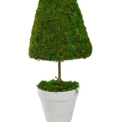Trees & Topiaries-Kirkland's Home Reindeer Moss Cone Topiary In White Planter