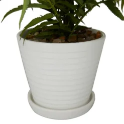 Arrangements & Greenery-Kirkland's Home River Rock Fern In Ribbed White Planter Green/Blue