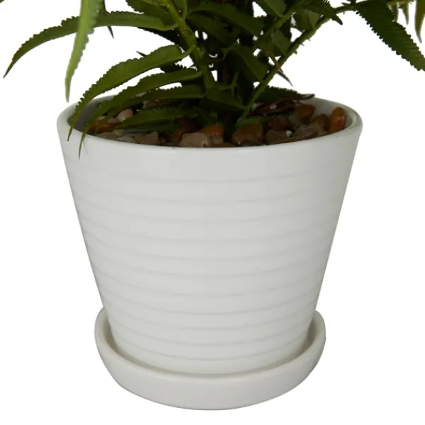 Arrangements & Greenery-Kirkland's Home River Rock Fern In Ribbed White Planter Green/Blue