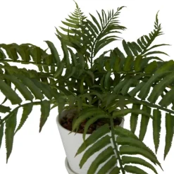 Arrangements & Greenery-Kirkland's Home River Rock Fern In Ribbed White Planter Green/Blue