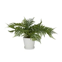 Arrangements & Greenery-Kirkland's Home River Rock Fern In Ribbed White Planter Green/Blue
