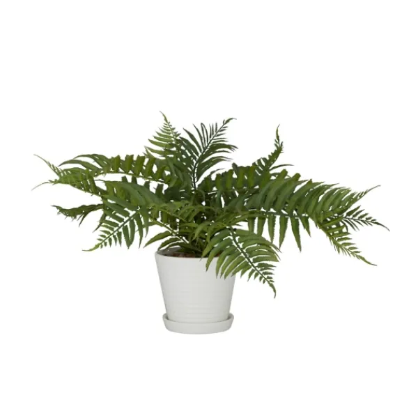 Arrangements & Greenery-Kirkland's Home River Rock Fern In Ribbed White Planter Green/Blue
