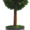 Trees & Topiaries-Kirkland's Home Round Boxwood Topiary In Black Planter, 14 In.