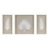 Wall Plaques-Kirkland's Home Sabal Rice Paper Palm Shadowbox Plaques, Set Of 3 White/Tan