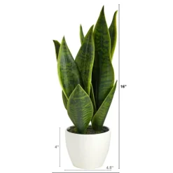 Arrangements & Greenery-Kirkland's Home Sansevieria Arrangement In White Planter Gray/White