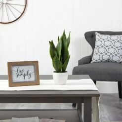 Arrangements & Greenery-Kirkland's Home Sansevieria Arrangement In White Planter Gray/White