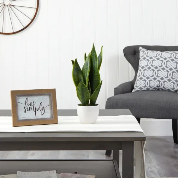 Arrangements & Greenery-Kirkland's Home Sansevieria Arrangement In White Planter Gray/White