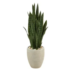 Trees & Topiaries-Kirkland's Home Sansevieria Arrangement In Sand Planter