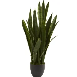 Trees & Topiaries-Kirkland's Home Sansevieria Floor Plant In Black Planter