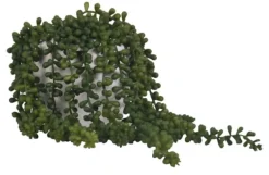 Arrangements & Greenery-Kirkland's Home Seedum In White Bowl Planter Green