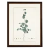 Framed Art-Kirkland's Home Sida Greenery Black Beaded Framed Art Print Ivory/Green