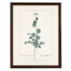 Framed Art-Kirkland's Home Sida Greenery Black Beaded Framed Art Print Ivory/Green