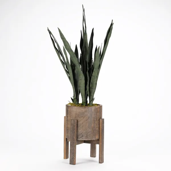 Arrangements & Greenery-Kirkland's Home Snake Plant In Round Wooden Planter Stand, 36 In. Green