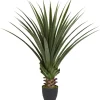 Arrangements & Greenery-Kirkland's Home Spiked Agave Plant In Nursery Planter Green/Black