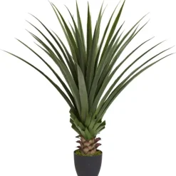 Arrangements & Greenery-Kirkland's Home Spiked Agave Plant In Nursery Planter Green/Black